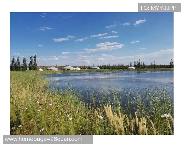 何思雨:在风雨中绽放的坚韧与希望的旅程 何思雨:在风雨中绽放的坚韧与希望的旅程